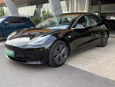 Tesla Model 3 2020 Tesla Model 3 2020 car image