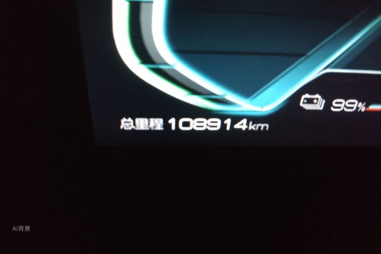 BYD Yuan Pro 2021 car image #14