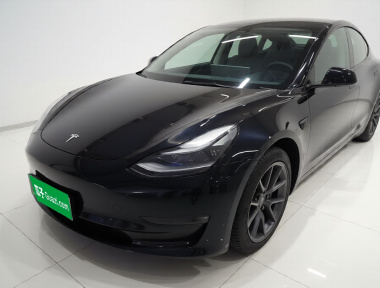 Tesla Model 3 2021 Tesla Model 3 2021 car image