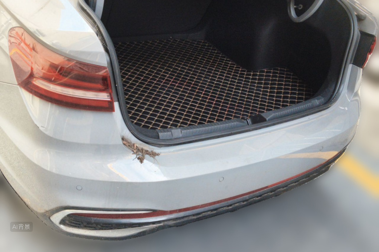 Volkswagen Lavida 2022 car image #21