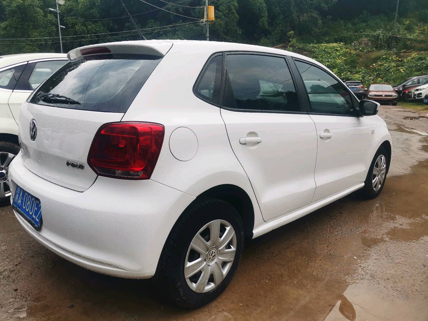 Volkswagen Polo 2013 car image #8