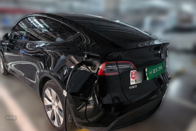 Tesla Model Y 2022 immagine di auto #6