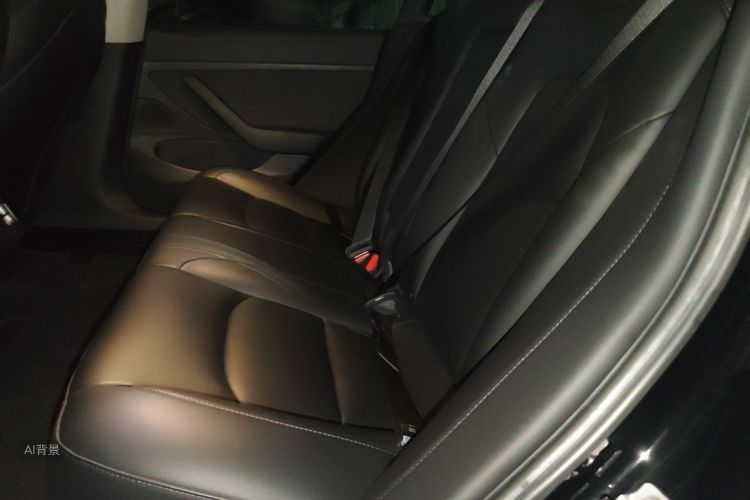 Tesla Model 3 2020 car image #19