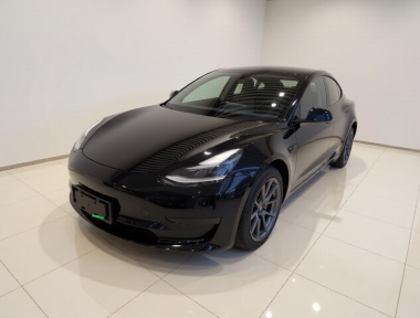 Tesla Model 3 2021 car image 