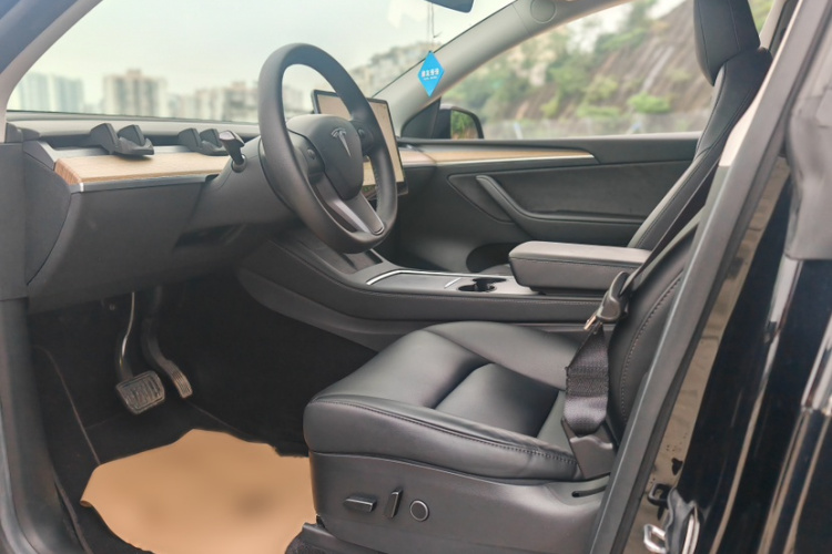 Tesla Model Y 2021 immagine di auto #22