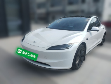Tesla Model 3 2025 Tesla Model 3 2025 car image