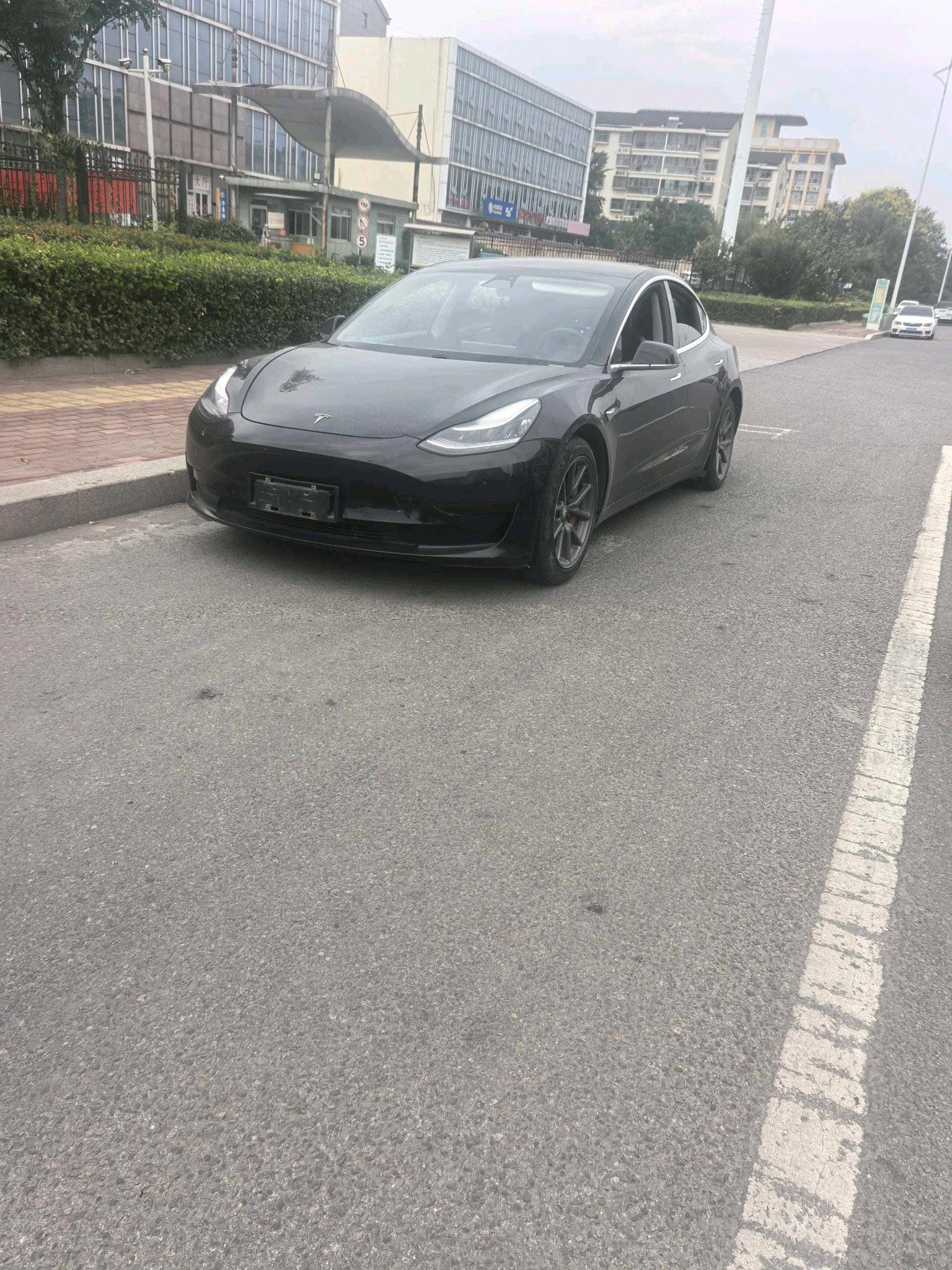 Tesla Model 3 2020 car image 