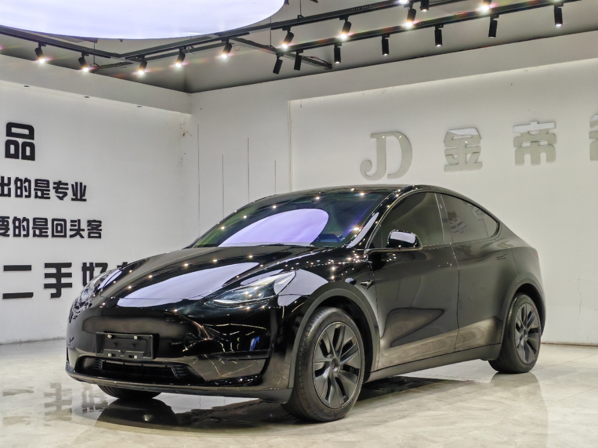 Tesla Model Y 2024 car image 