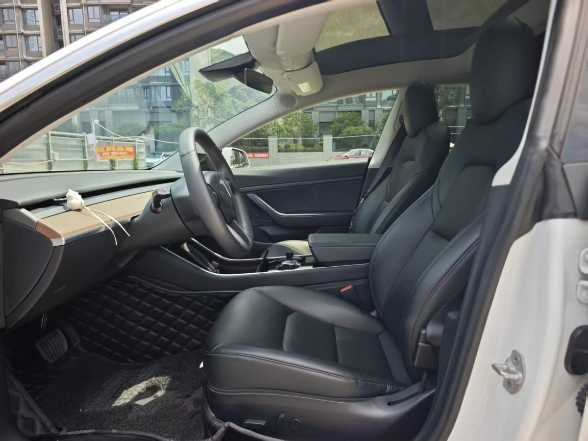 Tesla Model 3 2020 car image #4