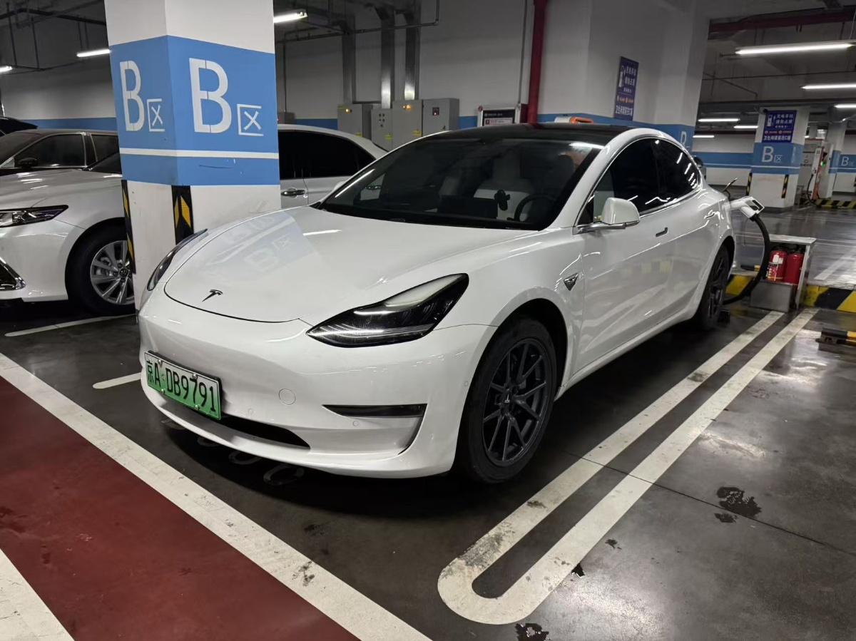 Tesla Model 3 2020 Tesla Model 3 2020 immagine di auto