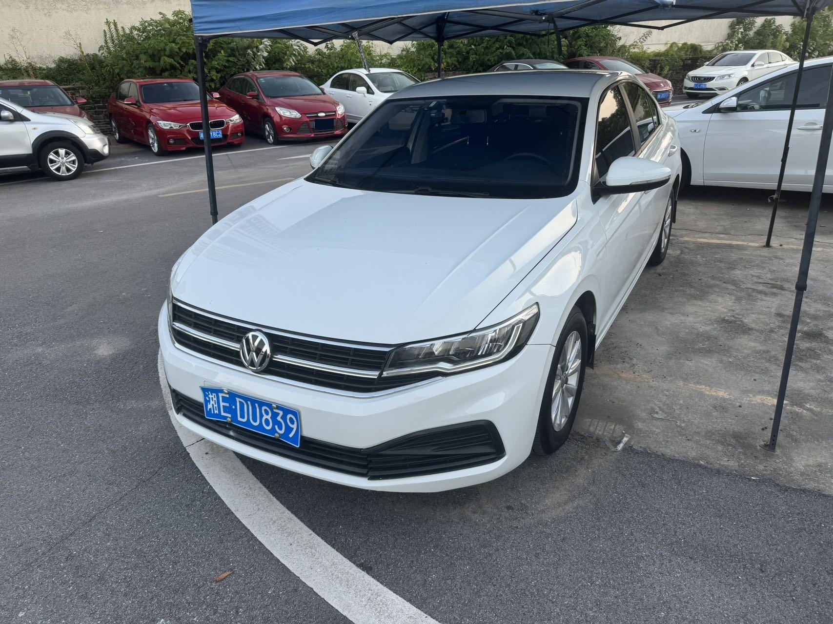 Volkswagen Bora 2019 Volkswagen Bora 2019 car image