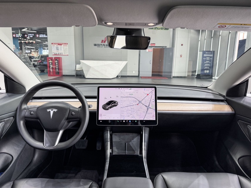 Tesla Model 3 2020 car image #9