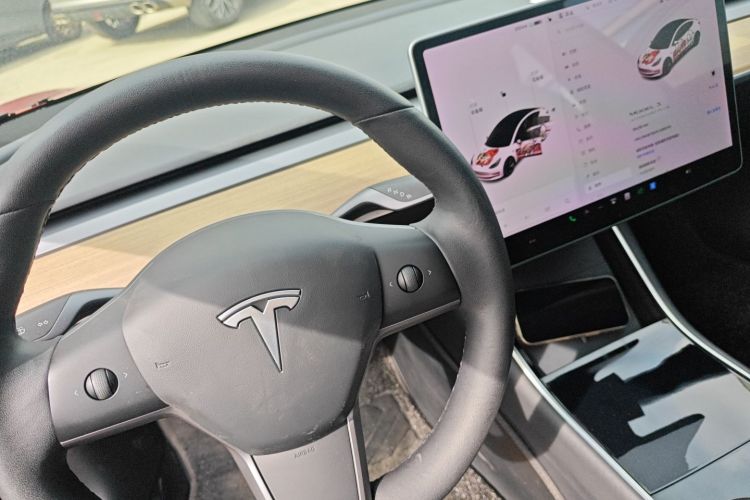 Tesla Model 3 2020 car image #14