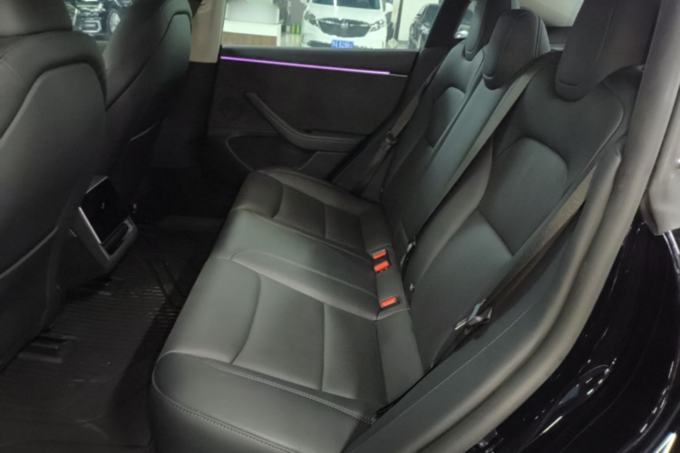 Tesla Model 3 2025 #17 Tesla Model 3 2025 صورة سيارة #17