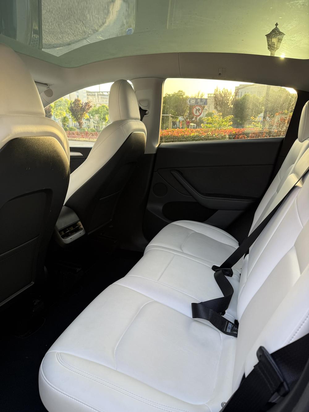 Tesla Model Y 2023 #14 Tesla Model Y 2023 car image #14