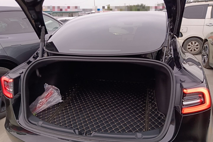 Tesla Model 3 2022 изображение автомобиля #21