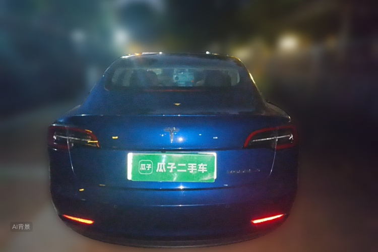 Tesla Model 3 2020 car image #6
