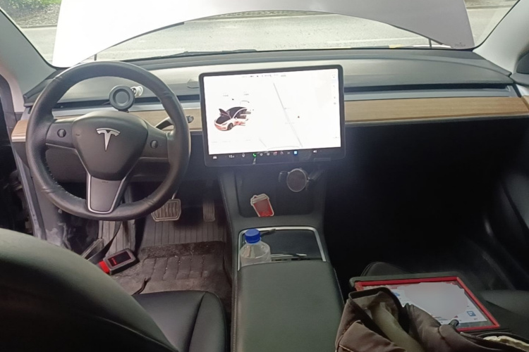 Tesla Model 3 2021 #10 Tesla Model 3 2021 car image #10