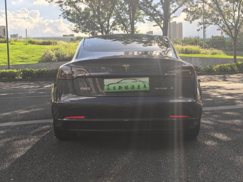 Tesla Model 3 2020 #8 Tesla Model 3 2020 car image #8