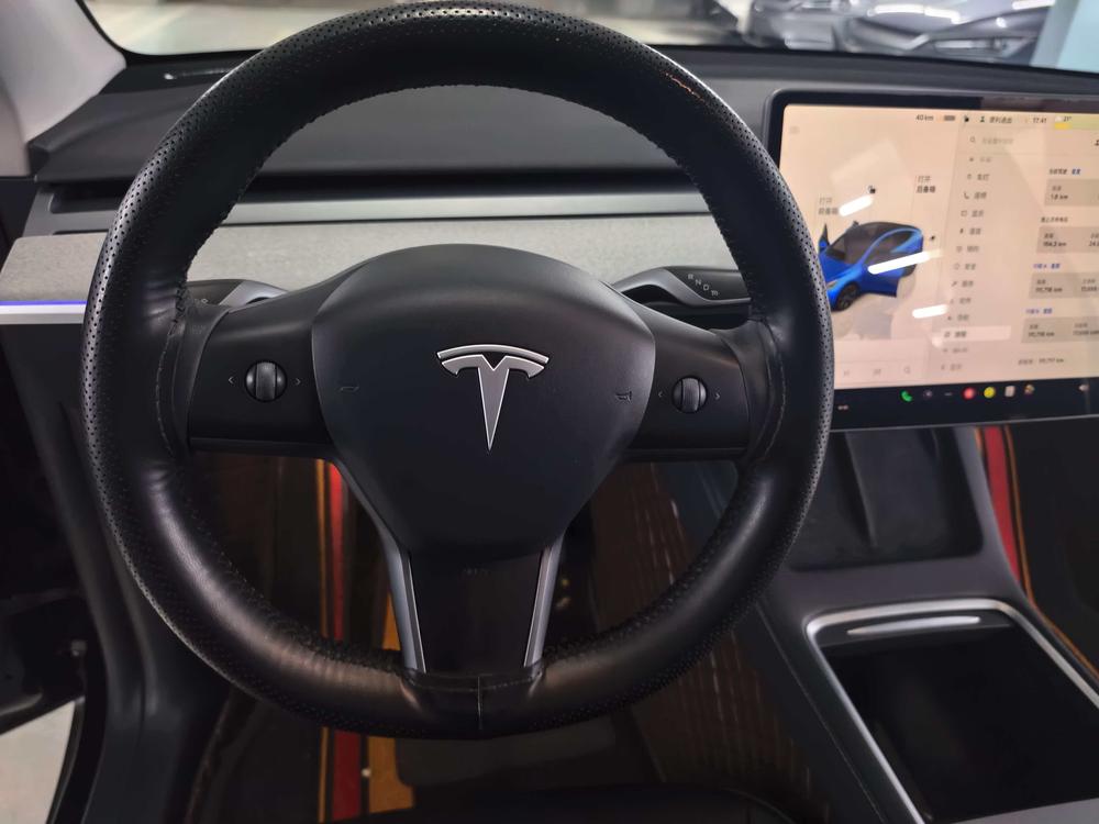 Tesla Model Y 2024 car image #12