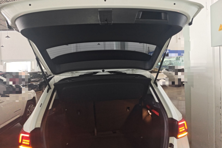 Volkswagen Tharu 2021 car image #21