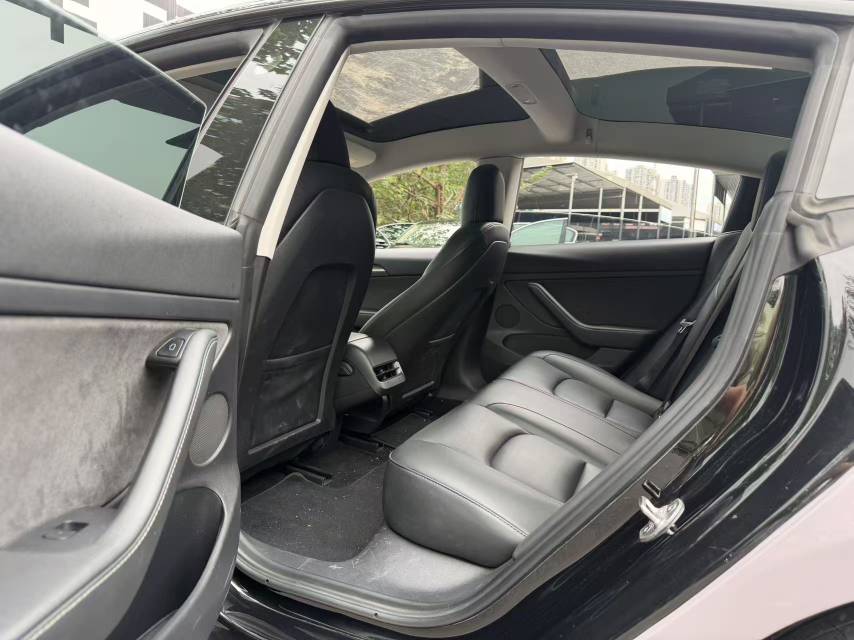 Tesla Model 3 2021 imagem de carro #9