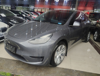 Tesla Model Y 2022 car image 