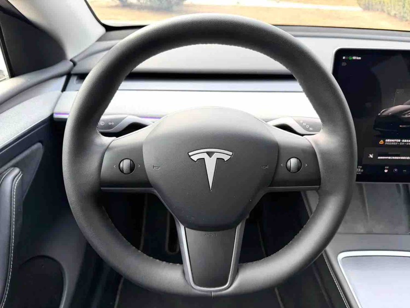 Tesla Model Y 2024 car image #9