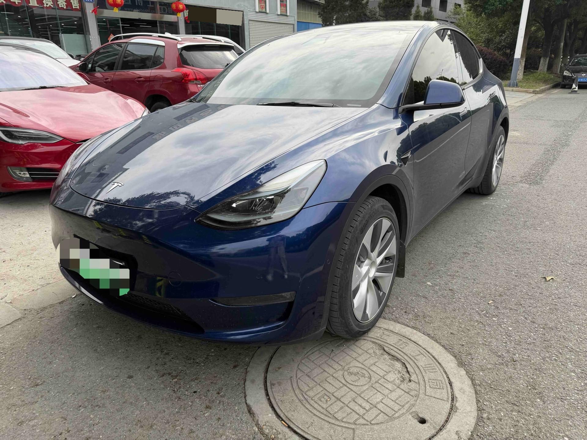 Tesla Model Y 2021 Tesla Model Y 2021 car image
