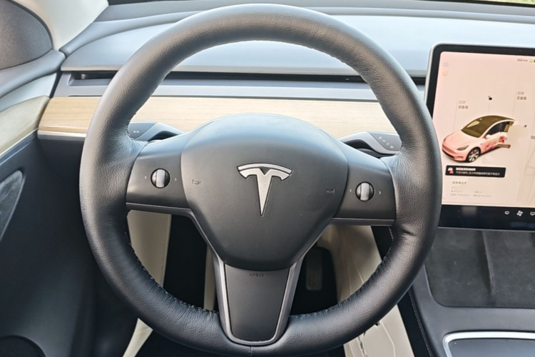 Tesla Model Y 2021 car image #11