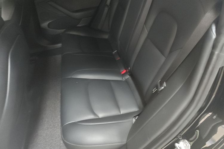 Tesla Model 3 2021 #17 Tesla Model 3 2021 car image #17