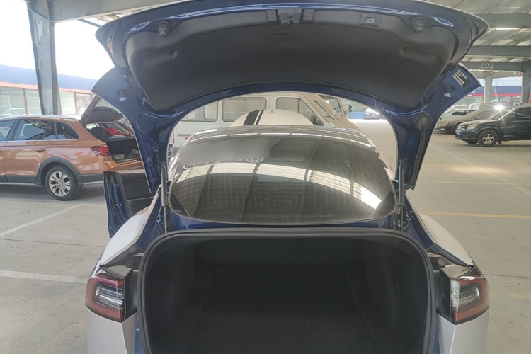 Tesla Model 3 2020 صورة سيارة #19