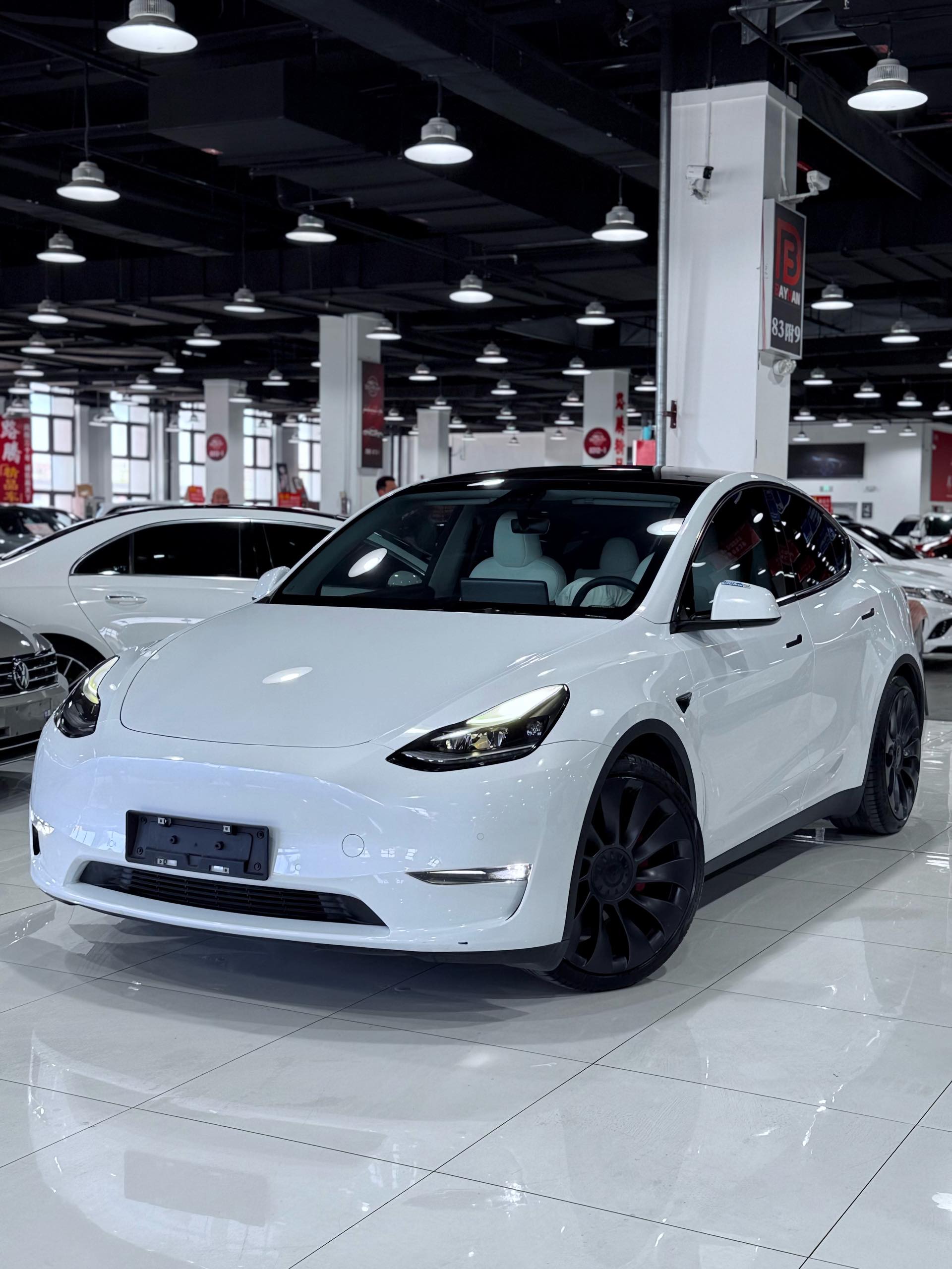 Tesla Model Y 2023 Tesla Model Y 2023 car image