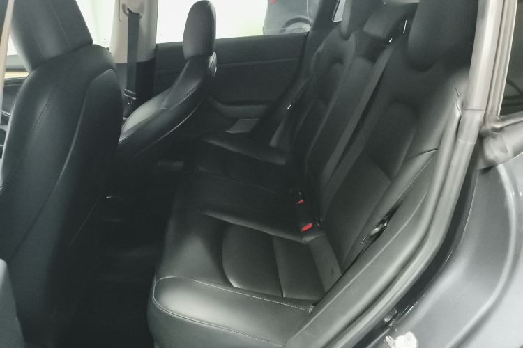 Tesla Model 3 2021 car image #17