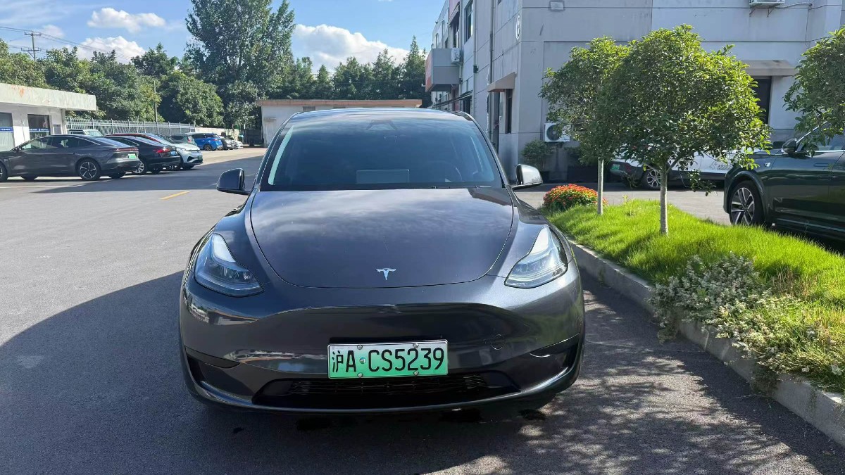 Tesla Model Y 2024 #2 Tesla Model Y 2024 car image #2