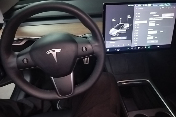 Tesla Model 3 2021 #10 Tesla Model 3 2021 car image #10
