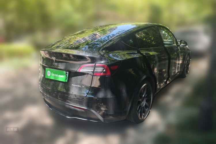 Tesla Model Y 2021 car image #7