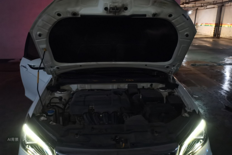 GEELY Emgrand 2019 car image #22