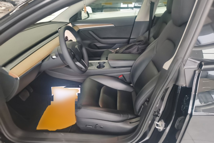 Tesla Model 3 2021 car image #15