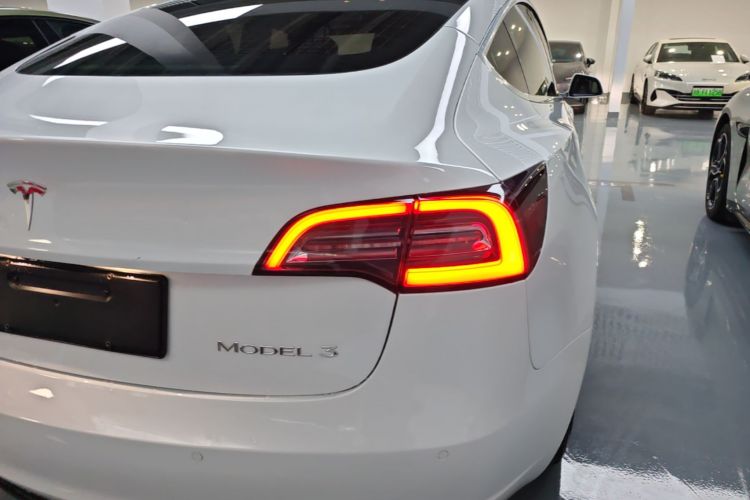 Tesla Model 3 2020 immagine di auto #8