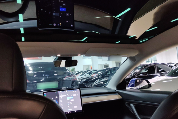 Tesla Model 3 2020 car image #18