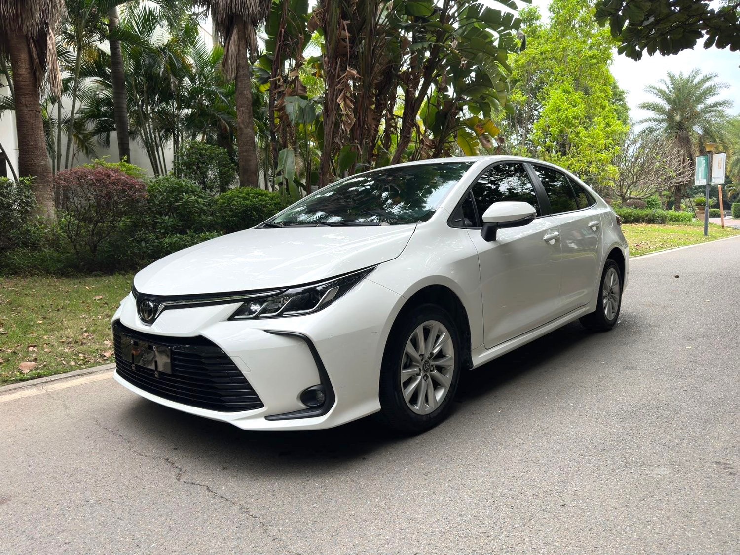 Toyota Corolla 2024 car image 