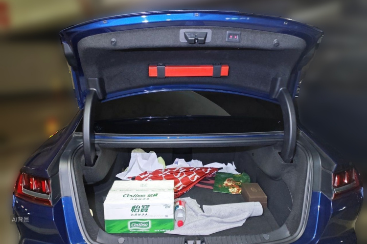 BYD Han 2021 imagem de carro #21