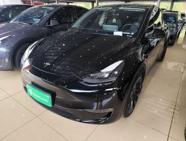 Tesla Model Y 2021 car image 