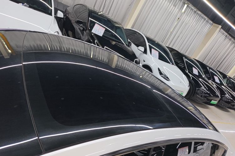 Tesla Model 3 2025 #25 Tesla Model 3 2025 car image #25