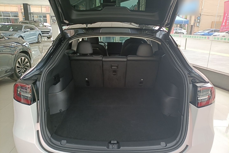 Tesla Model Y 2021 car image #21