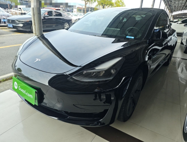 Tesla Model 3 2021 Tesla Model 3 2021 car image