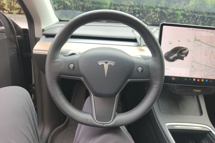 Tesla Model Y 2021 car image #11