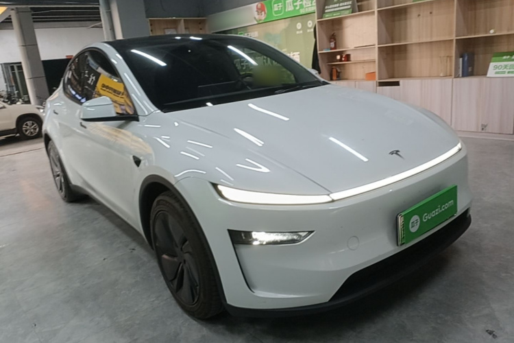 Tesla Model Y 2025 car image #6