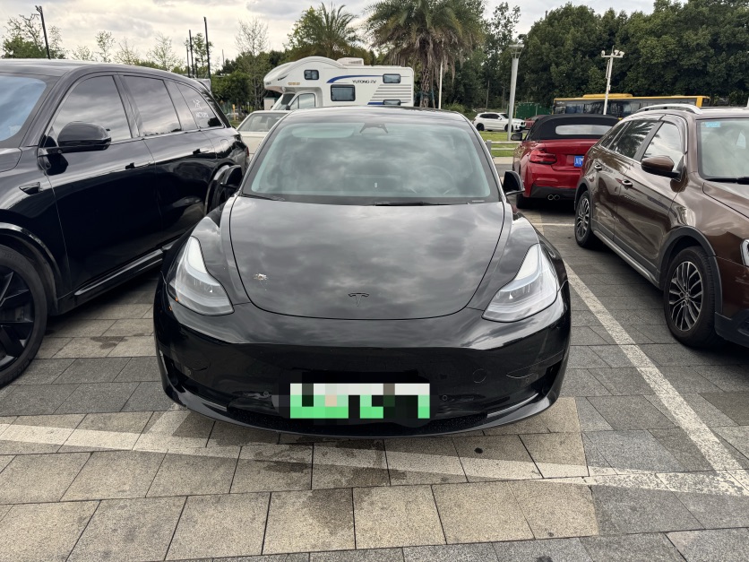Tesla Model 3 2022 #2 Tesla Model 3 2022 car image #2